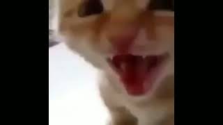 Download lagu cinta terakhirku - Bagas Ran // sped up [reqsong] !! mp3