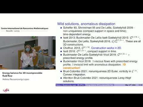 Helena Nussenzveig-Lopes: Energy balance for 2D incompressible fluid flow