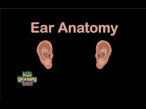 The Ear Anatomy Song