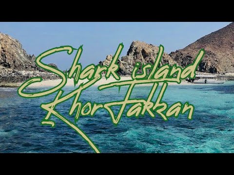 Shark Island Khorfakkan UAE| Hidden blue water beach| Khorfakkan Beach| Hidden island| Spice villa.
