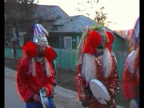 datini 2015-2016 -cerbii din Baltati si Valea Oilor precum si baietii hazlii partea 1