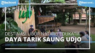 Destinasi Wisata Edukatif Cocok Dikunjungi saat Libur Nataru, Ini Daya Tarik Saung Angklung Udjo
