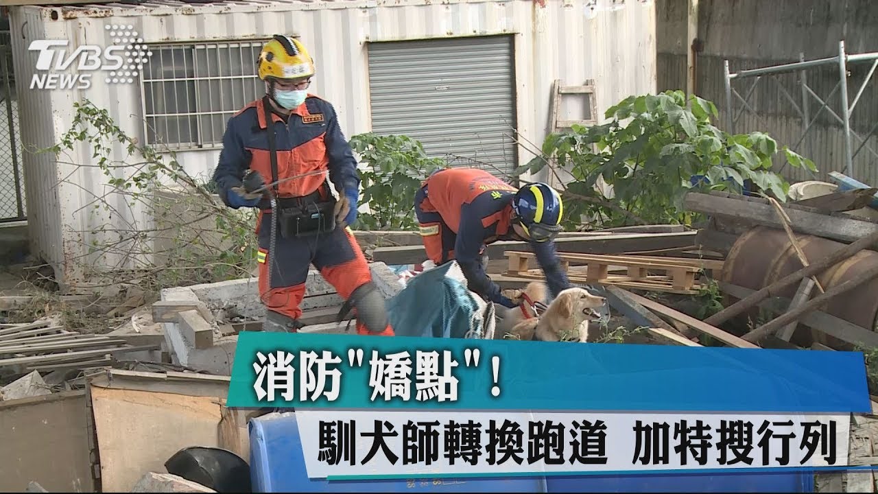 消防「嬌點」！馴犬師轉換跑道　加特搜行列