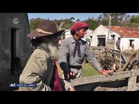download lagu mp3 mp4 Hijos Del Campo, download lagu Hijos Del Campo gratis, unduh video klip Hijos Del Campo