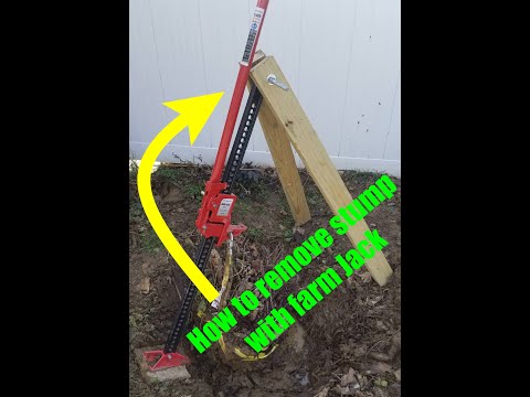 How To Save $2500 To Remove 20+ Shrub and Tree Stumps with Farm Jack All By Myself In A Day!!!
