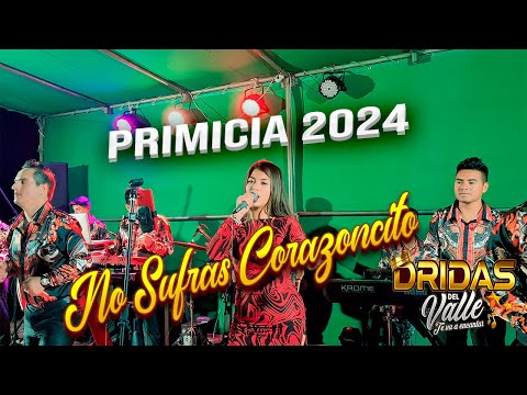 No Sufras Corazoncito - Dridas Del Valle / Primicia 2024