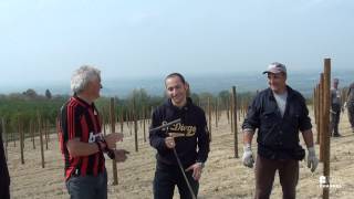 preview picture of video 'Live from the vineyard with Roberto Voerzio - puntata 3'
