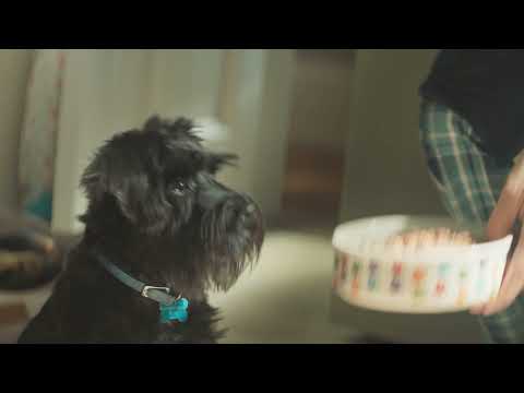 Butcher’s Food For Dogs 2021 Advert – 6 second