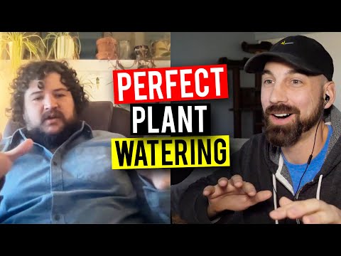 The IDEAL Watering Setup For Plants! (Garden Talk #50)