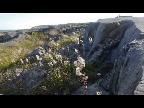 RETRATO DO ARTISTA - Marimekko, um coração da Finlândia