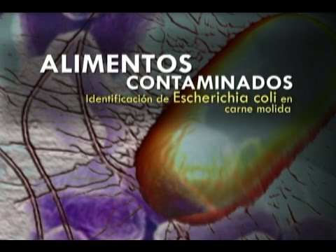 Adenom und Prostatitis Tabletten Prostatitis und Unfruchtbarkeit seine Behandlung