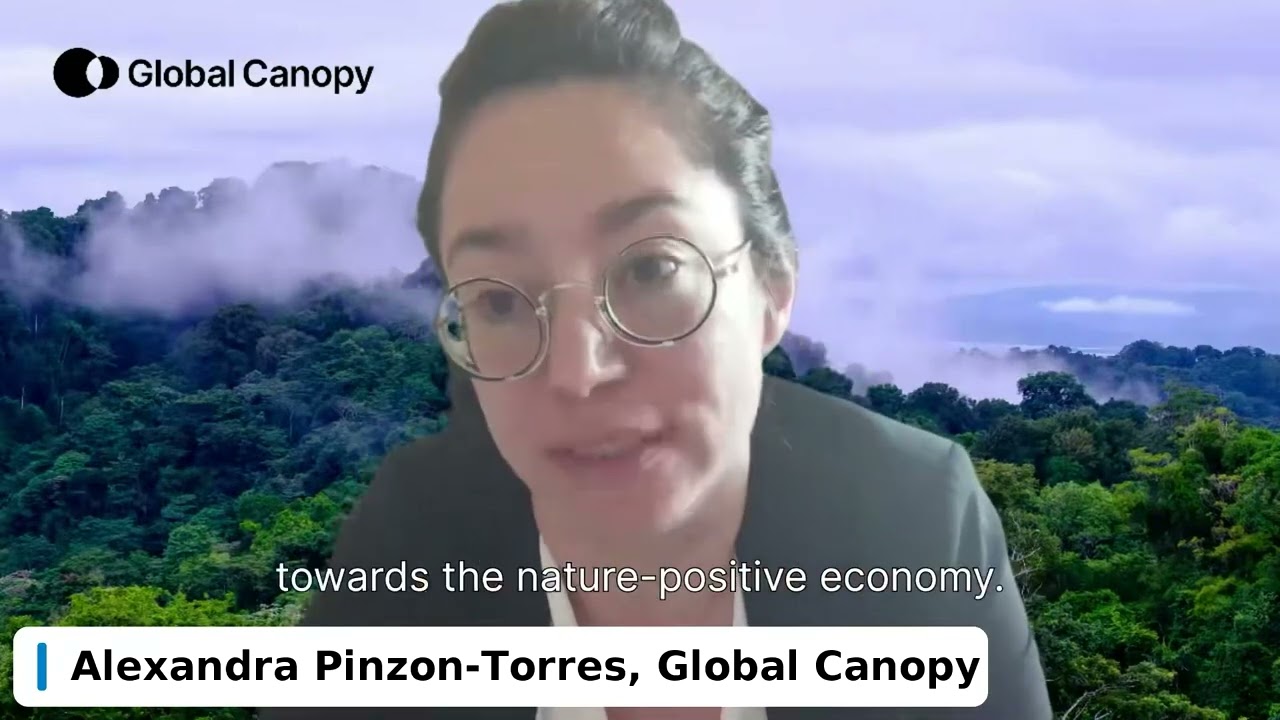 Alex Pinzon-Torres: Introducing The Little Book of Nature Business webinar