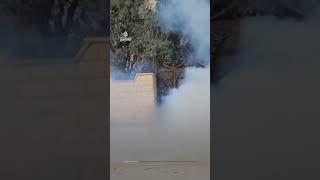 Israeli forces use tear gas on Palestinians visiting cemetery during Eid al-Adha