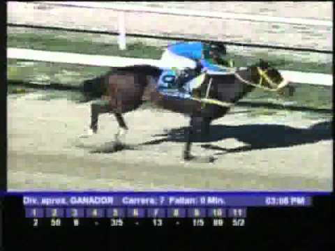 Resumen Domingo, 27 de Noviembre de 2011 - La Rinconada