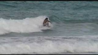 preview picture of video 'la pared luquillo'