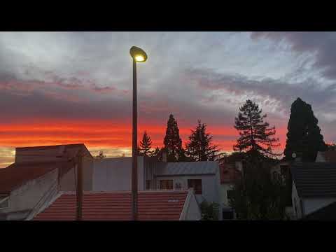 L&rsquo;Amour pour bouclier