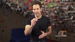 Forearm Antagonist Muscle Training for Climbers