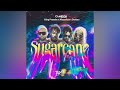 Camidoh - Sugarcane Remix (Feat. King Promise, Mayorkun & Darkoo) (Official Audio Slide)