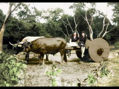 AÑORANZA CAMBA LOS CAMBITAS DE SANTA CRUZ