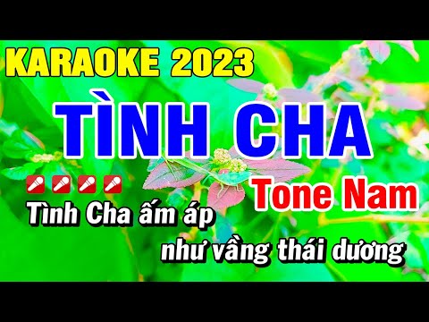 Karaoke Tình Cha - Ngọc Sơn Tone Nam Dể Hát Nhạc Sống | Hoài Phong Organ