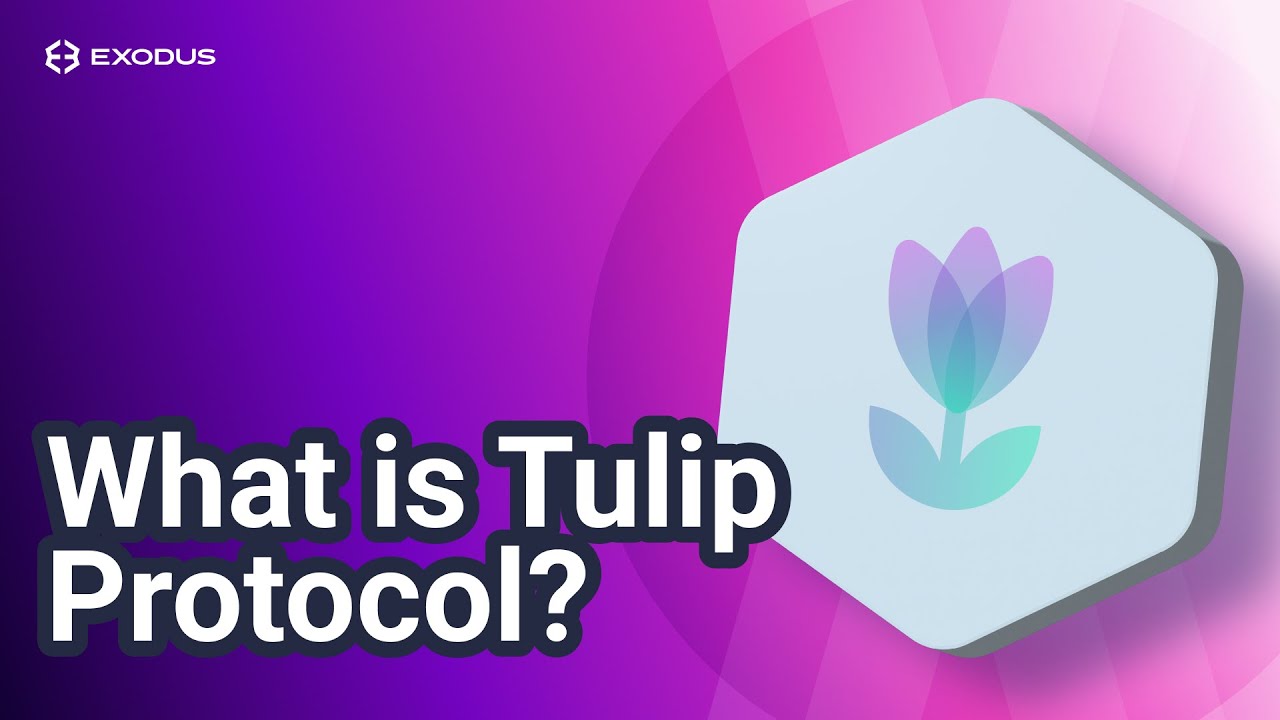 O que é Tulip Protocol (Solana): Agregador agrícola de rendimento em Solana (Solana DeFi)