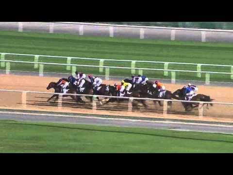 31.01.2015 Meydan (Dubai/UAE) 2.Race Al Naboodah Commercial Group Trophy - Handicap  1.200 m
