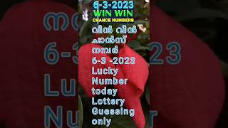 6/3/2023/win win Chance numbers Lottery guessing only #venuyoutube tips#shorts