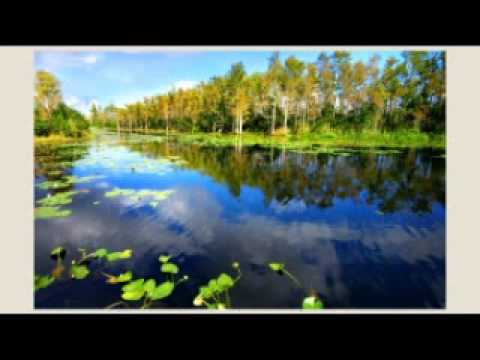 Jose Delgado ft. Kilian Dominguez & Alexi & Jwess - Be Mine