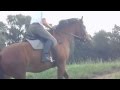 Reiten Auf Gut Externbrock Reitferien Für Erwachsene Kinder Im Weserbergland NRW