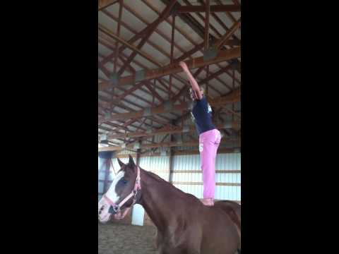 Horse :) katy perry wide awake