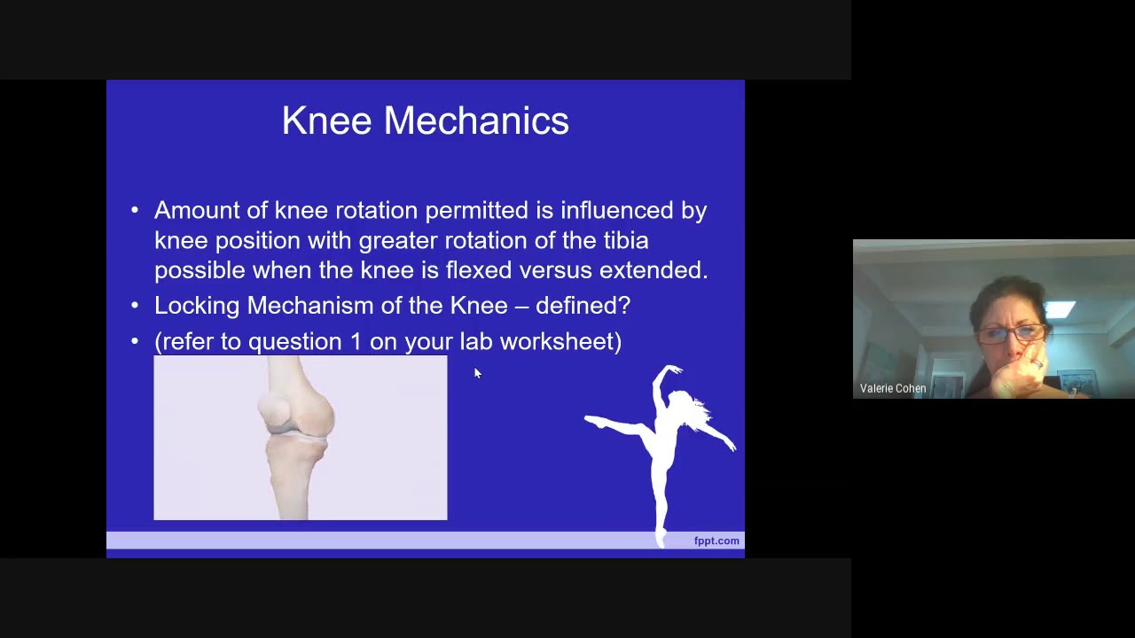 Anatomy and kinesiology for Dance  The knee chapter 5 1