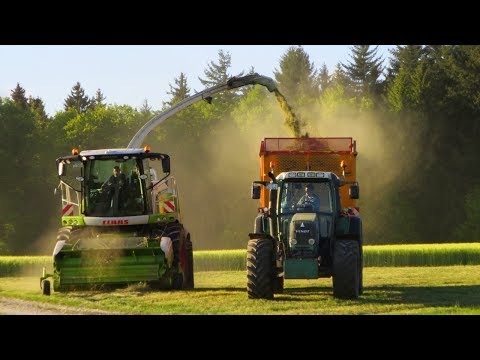 1. Schnitt 2014 | Gras häckseln mit Claas Jaguar 960