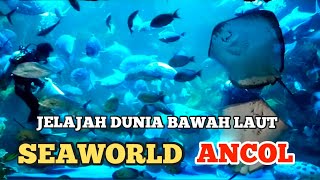 Download lagu Jalan - Jalan Mengenal Dunia Bawah Laut | SeaWorld Ancol 2021 mp3