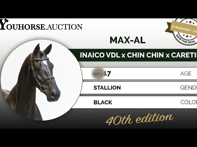 Max-AL @ outdoor show