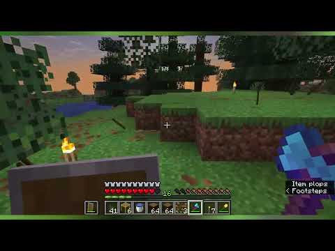Play Minecraft with me - S03E11