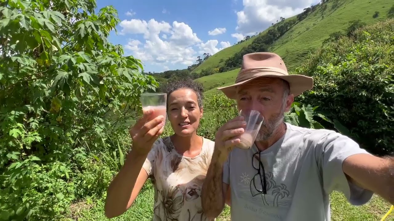 APRENDENDO A FAZER KOMBUCHA COM A LU