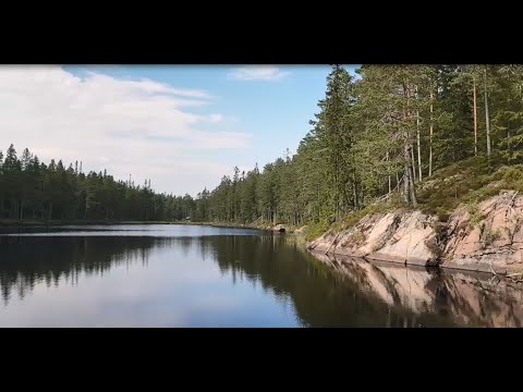 Murstensdalen 19 augusti 2020