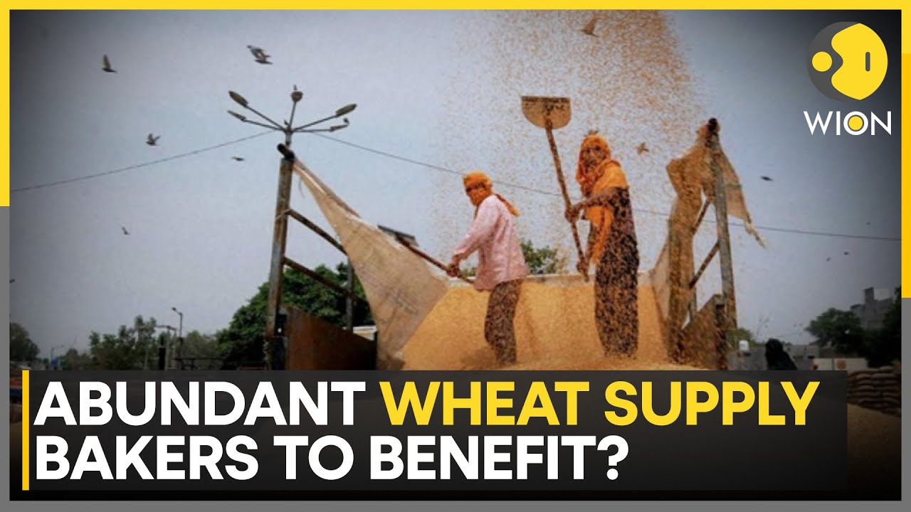 Southern Hemisphere Wheat Boom: Bakers To Benefit From Abundant Wheat Supply? | WION