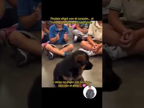 Firulais eligió con el corazón… al niño que más necesitaba amor 🐕💖  #VideoViral #Firulais #Niños