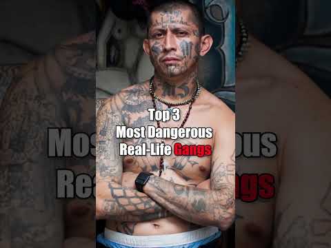 Top Most | DANGEROUS Gangs in the WORLD #shorts #gangster #mostpopular #mostdangerous