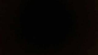 Celebrity holocaust-Remembering Never