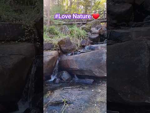 Mini Waterfalls #nature #shorts