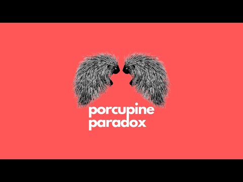 Porcupine Paradox ● Slow Diving into my Head (2)