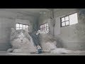 fromis_9 - DKDK