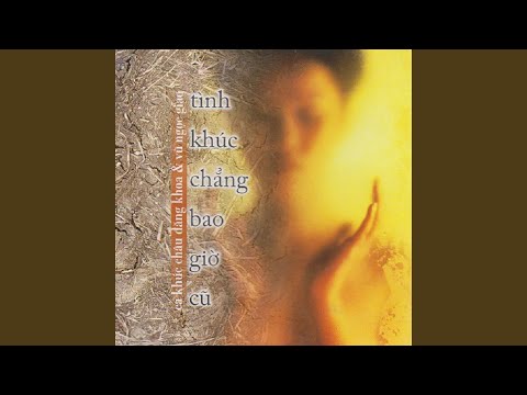 Người đàn ông mắt buồn - Ngọc Anh