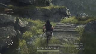 Dragon's Dogma２　少しだけやってみる