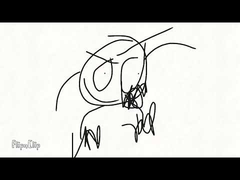 barry basics to good doried