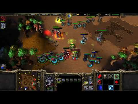 WC3 2v2 - MuscleMike & Trainy vs viiksi-vallu & co.