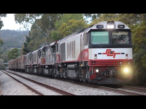 CSR004, SCT015, CSR010, CSR018 leads 6MP9 through Hawthorn