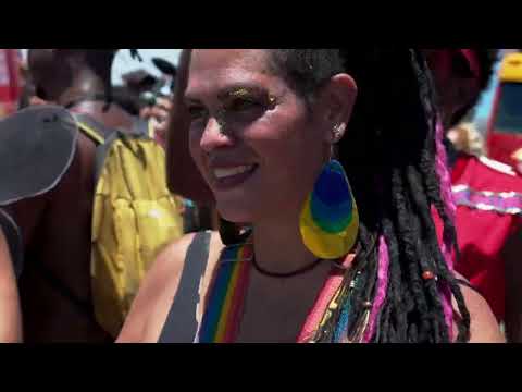 Desfile de Carnaval 2024 - Bloco Amigos da Onça